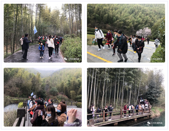 江苏嘿嘿射在线观看女神节的旅游纪录