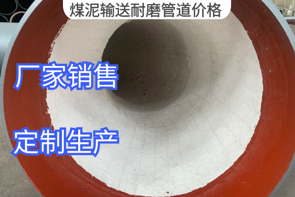 煤泥输送嘿嘿视频APP价格